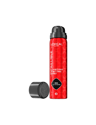 Sellador L'oreal Infallible